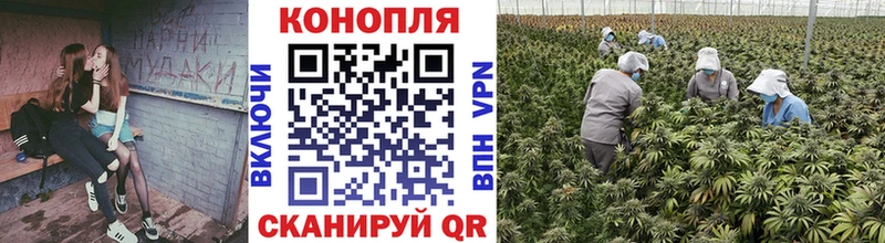 Где купить наркотики Кострома МАРИХУАНА  КОКАИН  СК  Метамфетамин  Гашиш  Амфетамин 