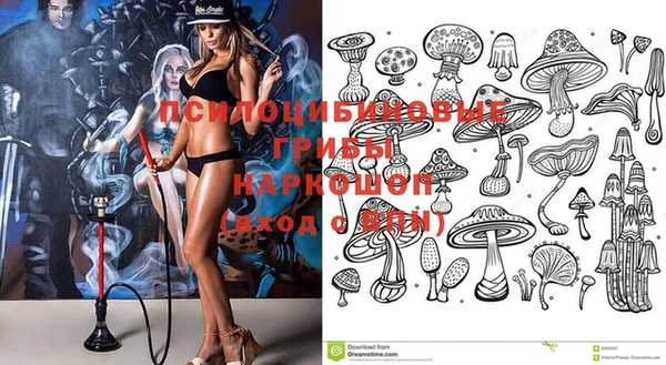 экстази Абаза